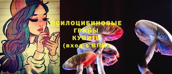 бутират Белокуриха