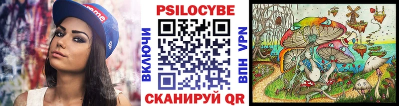 Псилоцибиновые грибы Cubensis  даркнет сайт  Краснотурьинск 